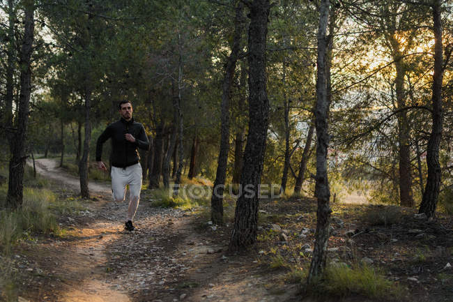 Joven concentrado en chándal trabajando en los músculos de las piernas corriendo en el bosque en un día soleado - foto de stock