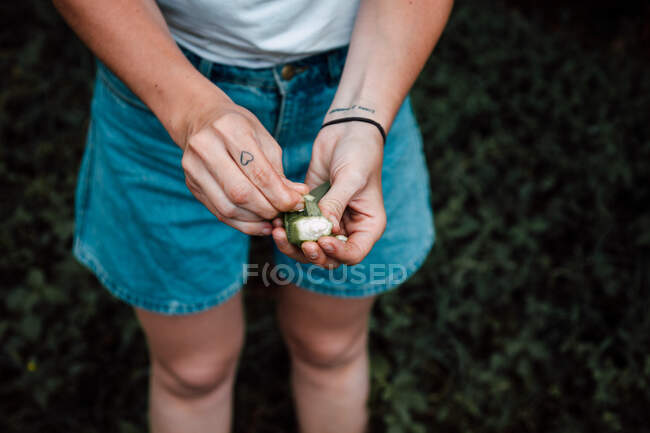From above of female hands of unrecognizable traveler in casual wear standing on green grass and peeling exotic fruit with hands at Cuba — Stock Photo