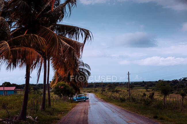 Narrow asphalt road covered by dry leaves with old car parked with doors opened with green plants on sides and grey cloudy sky on background in Cuba — Stock Photo