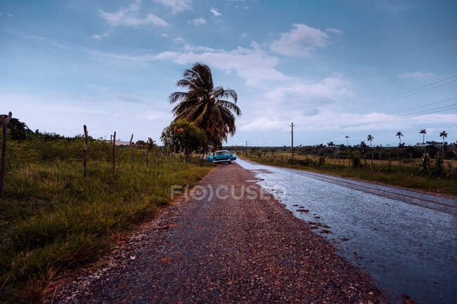 Route goudronnée couverte de feuilles sèches avec vieille voiture garée avec des portes ouvertes avec des plantes vertes sur les côtés et ciel gris nuageux sur le fond à Cuba — Photo de stock