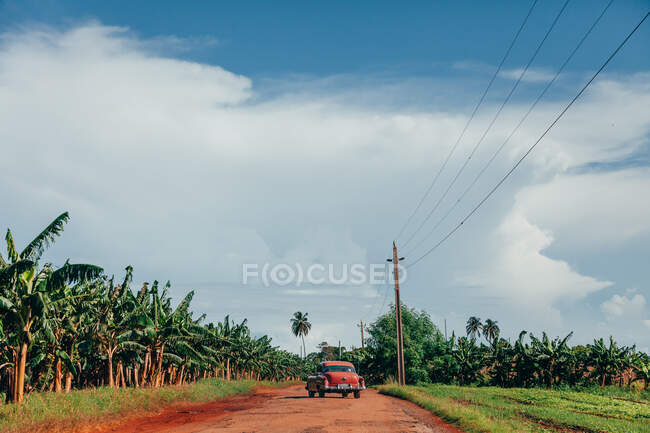 Sandige unbefestigte rote Straße mit altem Oldtimer mit grünen Pflanzen an den Seiten und grauem wolkenverhangenem Himmel im Hintergrund in Kuba — Stockfoto