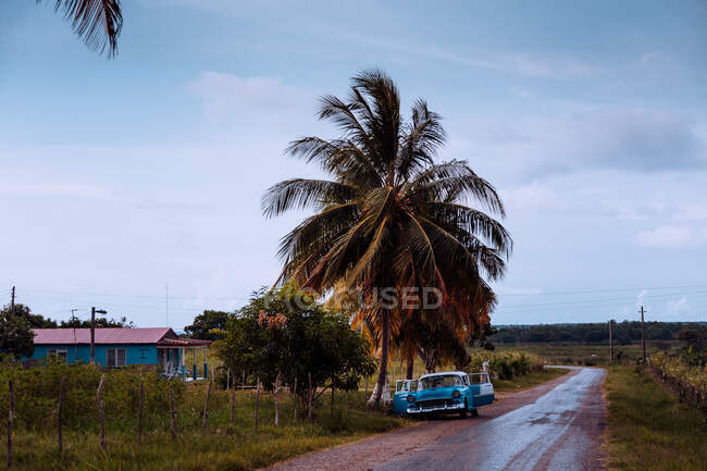 Estrecha carretera asfaltada cubierta de hojas secas con coche viejo aparcado con puertas abiertas con plantas verdes a los lados y cielo nublado gris sobre fondo en Cuba - foto de stock