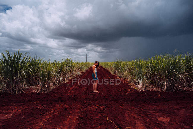 Vista lateral del viajero femenino en ropa casual de pie en el cruce con tierra marrón entre plantas tropicales verdes bajo el cielo gris nublado en Cuba - foto de stock