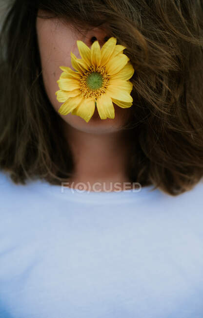 Mulher anônima com cabelo cobrindo rosto segurando flor margarida em sua boca — Fotografia de Stock