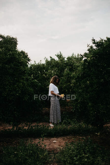 Вид сбоку на темноволосую женщину в легкой одежде с цветком в руках на фоне зеленых деревьев во время летних каникул — стоковое фото
