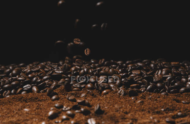 Caída de granos de café tostados frescos y café en polvo aislado sobre fondo negro - foto de stock