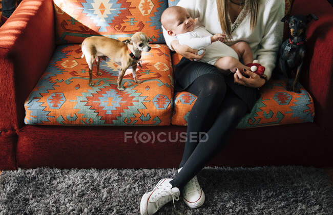 Sad newborn infant in white pajama on arms of crop caring mother with crossed legs sitting on bed near dogs at home — Stock Photo