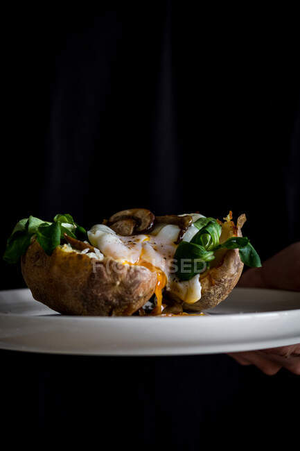 De cima do boliche cerâmico branco com ervas de cogumelos de ovo fritas saborosas na batata na mão de colheita — Fotografia de Stock