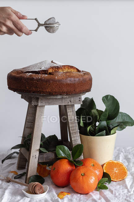 Crop anonimo persona versando zucchero in polvere con metallo colino rotondo sopra torta fresca appetitosa su sgabello di legno circondato da mandarino maturo arancione e pianta verde in vaso — Foto stock