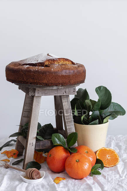 Pintoresca naturaleza muerta de corte fresco apetitoso y mandarina entera pastel fresco sabroso en taburete de madera pequeña y planta verde en maceta - foto de stock
