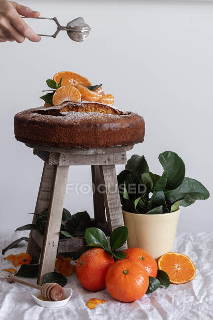 Crop anonymous person pouring sugar powder with metal round tea strainer above fresh appetizing cake on wooden stool surrounded by orange ripe tangerine and green plant in pot — Stock Photo