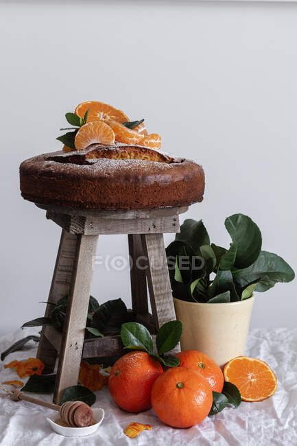 Pittoresca natura morta di fresco taglio appetitoso e mandarino intero torta fresca gustosa su piccolo sgabello di legno e pianta verde in vaso — Foto stock