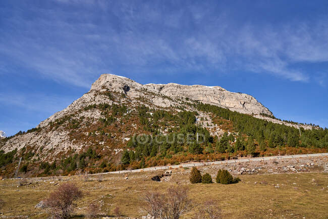 Serene landscape of dry valley and sheep grazing in grass at foot of rocky slope in bright day — Stock Photo
