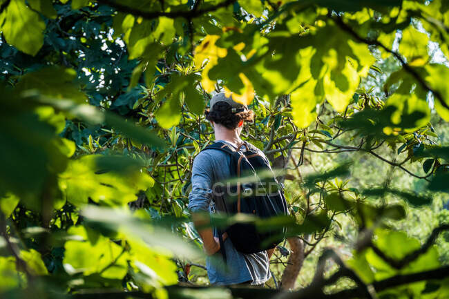 Vista trasera de turista activo anónimo con mochila negra moviéndose en camino entre piedras y bosque arbolado - foto de stock