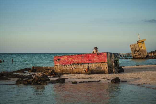 Pequeño perro acostado en las ruinas de la antigua construcción en la playa junto al mar - foto de stock