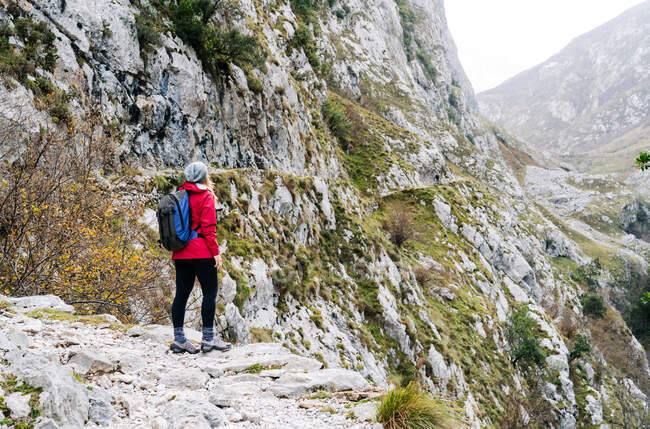 Seitenansicht einer nicht wiederzuerkennenden aktiven Wanderin in roter Jacke mit schwerem Rucksack, die auf die Gipfel Europas blickt, Asturien, Spanien — Stockfoto