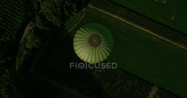 Drone view of green forest and fields at countryside and hot air balloon at sunlight — Stock Photo