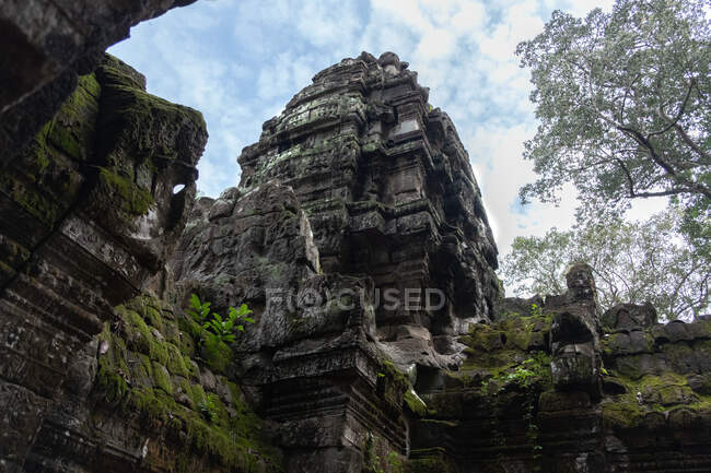 Desde abajo paisaje escénico de ruinas del antiguo templo hindú de Angkor Wat en Camboya - foto de stock