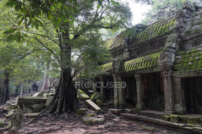 Paysage pittoresque du temple religieux hindou détruit d'Angkor Wat au Cambodge — Photo de stock