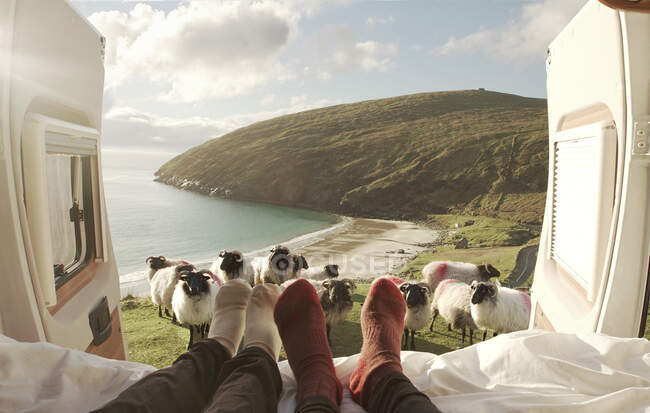 Анонимные путешественники смотрят на ягнят, пасущихся на зеленых холмах, пока отдыхают в трейлере в Ирландии — стоковое фото