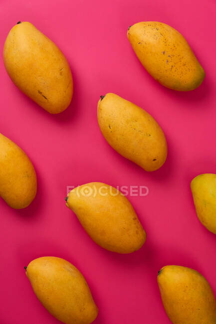 Flat lay mango fruit in pink colorful cardboard background — Stock Photo