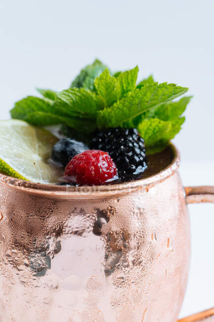 Metallbecher mit einer Portion leckerem Fruchtgetränk mit Limetten und Beeren verziert mit Minzblättern auf weißem Hintergrund — Stockfoto