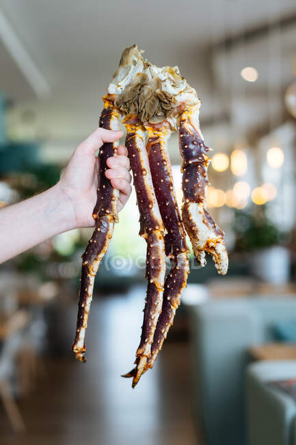 Crop personne démontrant jambes bouillies de délicieuses pattes de crabe roi dans un restaurant de luxe — Photo de stock
