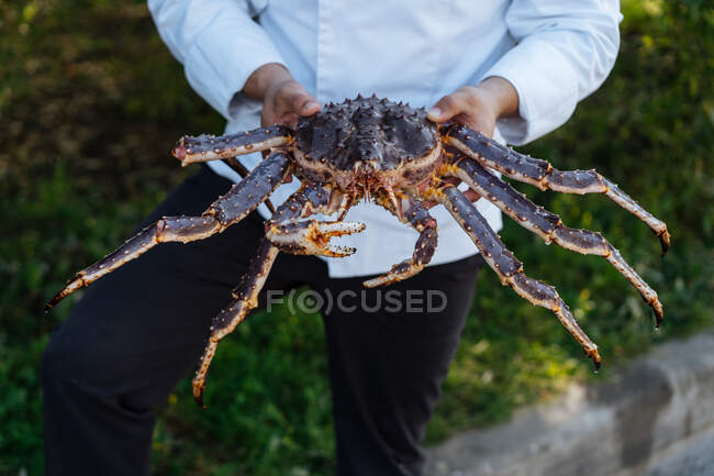Homme méconnaissable en uniforme de chef montrant crabe royal cru à la caméra tout en travaillant dans un restaurant en plein air — Photo de stock