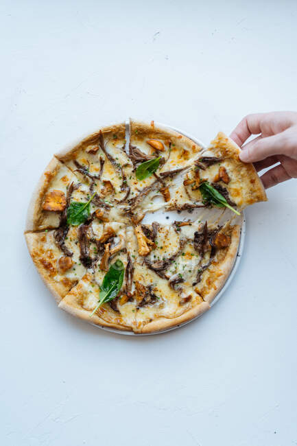 Аноним сверху берет кусочек вкусной пиццы из морепродуктов с грибами и базиликом на белом фоне — стоковое фото