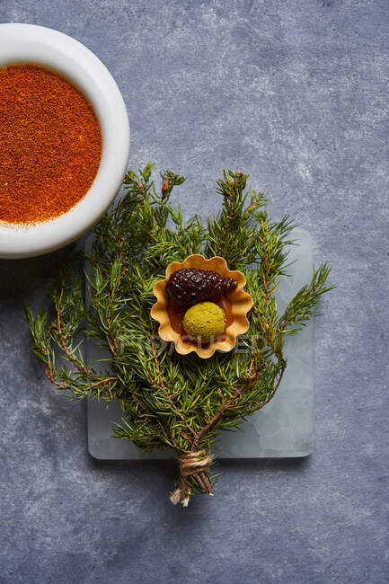 Top view of bunch of fresh conifer twigs with pickled cone and boiled egg yolk placed on scales near bowl with paprika — Stock Photo