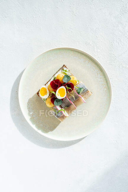 Overhead yummy fish sandwich with fresh vegetables and boiled quail eggs placed on plate in cafe — Stock Photo