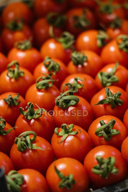 De acima de muitos tomates vermelhos maduros colocados em recipiente na mercearia — Fotografia de Stock