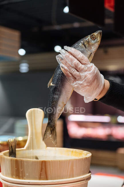 Невпізнаваний постачальник в рукавичці бере свіжу рибу з дерев'яного відра під час роботи в продуктовому магазині — стокове фото