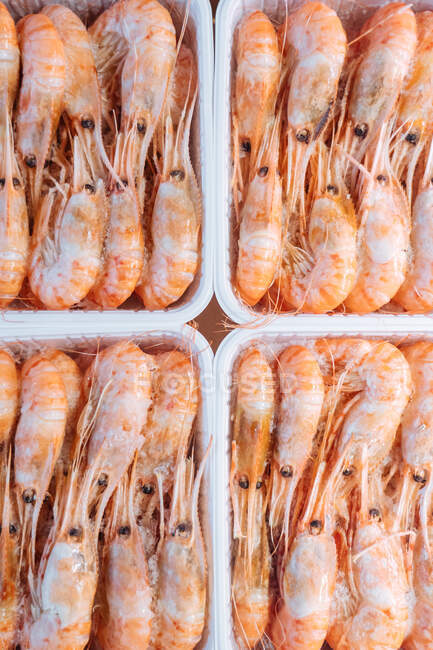Vue du dessus des boîtes en plastique avec des crevettes fraîches fraîches fraîches placées sur le stand dans l'épicerie — Photo de stock