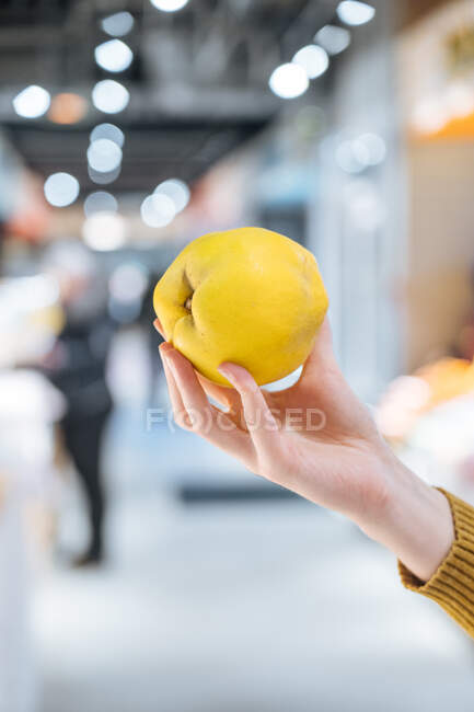 Consumidor irreconhecível demonstrando marmelo maduro no fundo turvo da mercearia moderna — Fotografia de Stock
