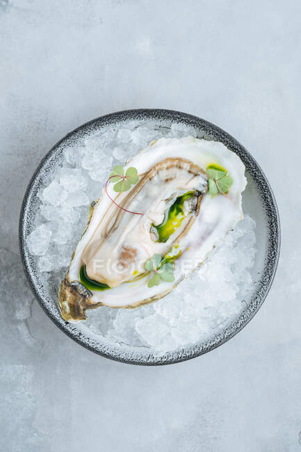 Deliziose ostriche sul cubetto di ghiaccio su una ciotola in uno sfondo bianco in un ristorante — Foto stock