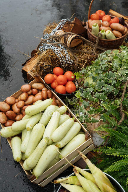 Сверху свежий картофель с помидорами и цуккини возле кукурузы в коробках и корзинах на мокром асфальте на рынке в пасмурный день — стоковое фото