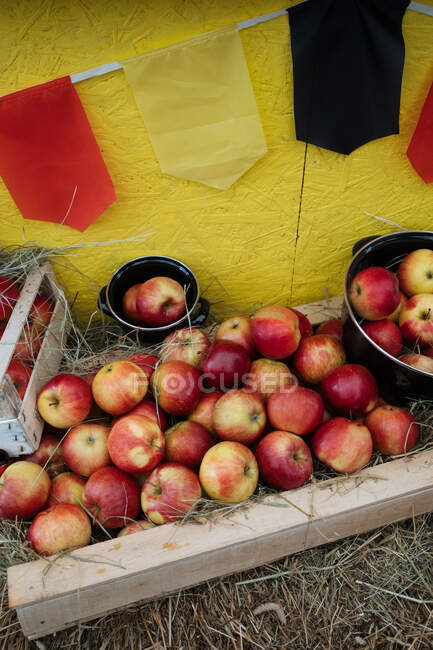 De dessus de pommes mûres dans des boîtes et des seaux dans le stand du marché — Photo de stock