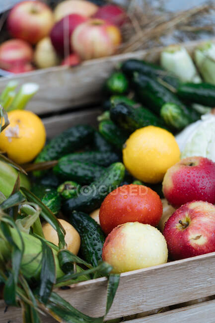 From above of wet cucumber with tomatoes and apple in box in market stall — Stock Photo