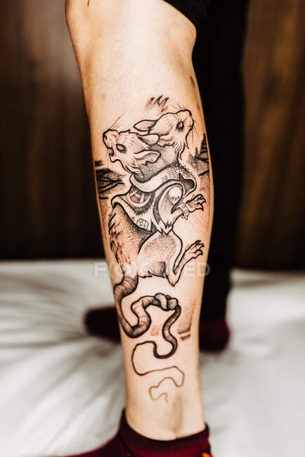 Unrecognizable cropped person leg with stylish two headed rat tattoo on leg standing in dark salon — Stock Photo
