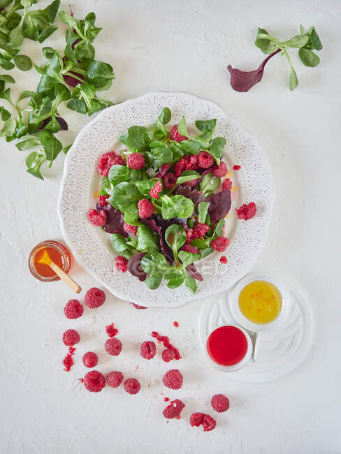Da composição acima mencionada brilhante de salada apetitosa saborosa com espinafre verde framboesa madura e molho aromático em fundo branco — Fotografia de Stock