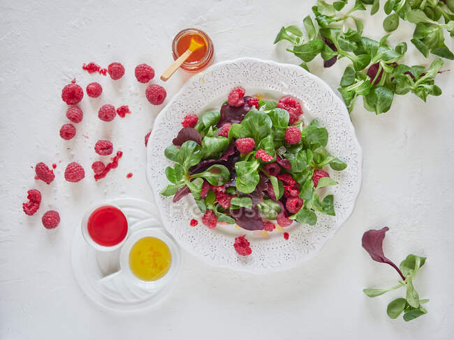 Ароматная малина и шпинат в белой тарелке с разноцветным соусом — стоковое фото