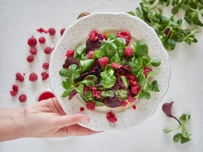 Person holding plate with raspberry and spinach salad — Stock Photo