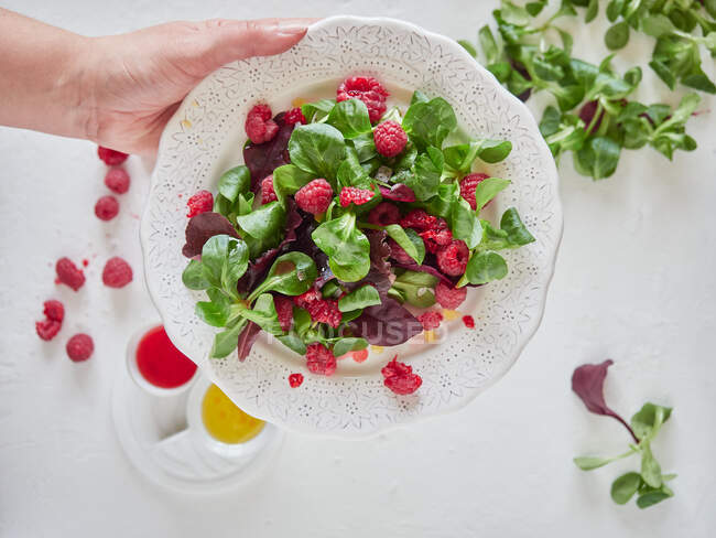Person holding plate with raspberry and spinach salad — Stock Photo