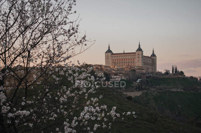 Schöne mittelalterliche Burg auf einem Hügel mit einem Rahmen aus blühendem Baum gegen den Sonnenuntergang am Frühlingsabend in der Provinz Toledo in Spanien — Stockfoto