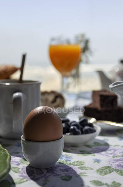 Petit déjeuner complet fait maison au soleil avec un verre de jus d'orange, de bleuets, d'œufs et de pain — Photo de stock
