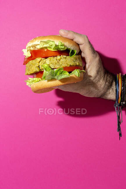 Cropped unrecognizable person hand holding a homemade vegan green lentil burger with tomato, lettuce and french fries on a pink colorful background — Stock Photo