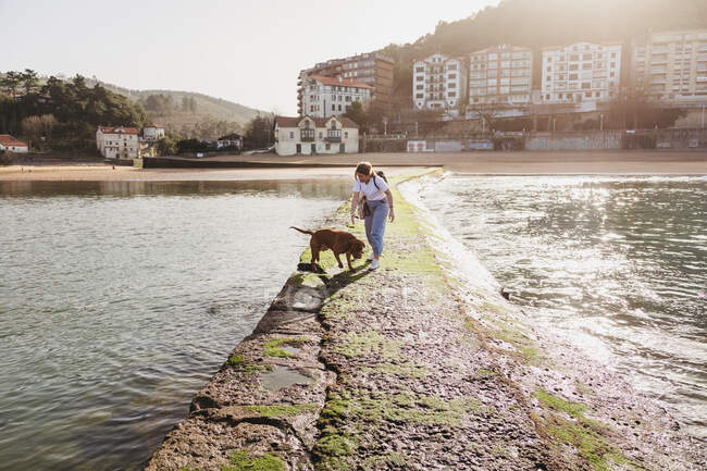 Молодая женщина гуляет с собакой на каменном пирсе в городе Лекетио в Стране Басков с жилыми зданиями и холмами на заднем плане — стоковое фото