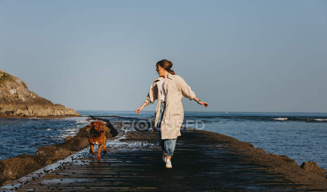 Female in casual clothes and big brown Mastiff dog looking at each other while walking along wet wooden pier against calm bay water under blue sky in Spain — Stock Photo