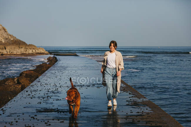 Femme en vêtements décontractés et grand chien mastiff brun se regardant tout en marchant le long de jetée en bois humide contre l'eau calme de la baie sous le ciel bleu en Espagne — Photo de stock